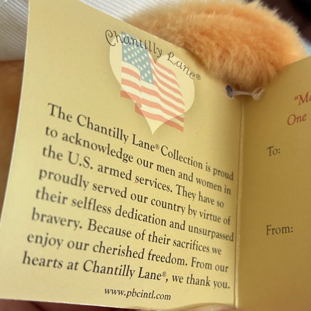 Chantilly Lane American military heroes vintage 19" Navy bear Animatronic - Picture 4 of 10